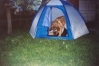 Filename=05_2004_01.jpg
Filesize=160KiB
Dimensions=880x584
Date added=%639 %18, %2006 05_2004_01.jpg