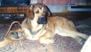 Filename=08_2004_03.jpg
Filesize=90KiB
Dimensions=682x401
Date added=%394 %19, %2006 08_2004_03.jpg