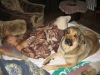Filename=08_2005_01.jpg
Filesize=244KiB
Dimensions=1024x768
Date added=%779 %19, %2006 08_2005_01.jpg