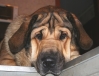 Filename=10_2005_01.jpg
Filesize=146KiB
Dimensions=855x657
Date added=%843 %19, %2006 10_2005_01.jpg
