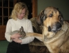 Filename=13.jpg
Filesize=137KiB
Dimensions=623x480
Date added=%801 %09, %2007 13.jpg