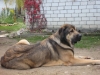 Filename=13~0.jpg
Filesize=154KiB
Dimensions=640x480
Date added=%766 %06, %2008 13~0.jpg