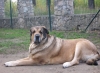 Filename=14.jpg
Filesize=177KiB
Dimensions=640x470
Date added=%766 %06, %2008 14.jpg