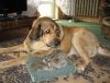 Filename=16.jpg
Filesize=172KiB
Dimensions=627x480
Date added=%803 %09, %2007 16.jpg