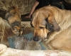 Filename=19.jpg
Filesize=177KiB
Dimensions=605x480
Date added=%801 %09, %2007 19.jpg