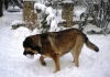 Filename=1~1.jpg
Filesize=180KiB
Dimensions=640x451
Date added=%290 %02, %2010 1~1.jpg