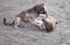 Filename=2008_02_03_15.jpg
Filesize=134KiB
Dimensions=614x400
Date added=%248 %04, %2008 2008_02_03_15.jpg