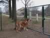 Filename=2008_02_03_27.jpg
Filesize=136KiB
Dimensions=554x423
Date added=%246 %04, %2008 2008_02_03_27.jpg