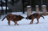 Filename=2008_15_01_01.jpg
Filesize=92KiB
Dimensions=640x411
Date added=%296 %25, %2008 2008_15_01_01.jpg