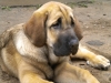 Filename=2~2.jpg
Filesize=192KiB
Dimensions=640x480
Date added=%803 %26, %2010 2~2.jpg