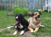 Filename=365.jpg
Filesize=552KiB
Dimensions=1025x768
Date added=%509 %14, %2006 365.jpg