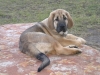 Filename=3~2.jpg
Filesize=165KiB
Dimensions=640x480
Date added=%849 %09, %2010 3~2.jpg