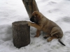 Filename=M_2.jpg
Filesize=176KiB
Dimensions=640x480
Date added=%830 %23, %2010 M_2.jpg