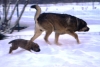 Filename=M_4.jpg
Filesize=132KiB
Dimensions=640x432
Date added=%829 %23, %2010 M_4.jpg