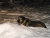Filename=Picture_001.jpg
Filesize=178KiB
Dimensions=640x480
Date added=%351 %30, %2009 Picture_001.jpg