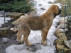 Filename=Picture_012.jpg
Filesize=230KiB
Dimensions=640x480
Date added=%432 %27, %2010 Picture_012.jpg