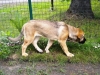 Filename=Picture_024.jpg
Filesize=202KiB
Dimensions=640x480
Date added=%807 %26, %2010 Picture_024.jpg