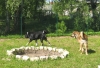 Filename=Picture_056.jpg
Filesize=211KiB
Dimensions=640x436
Date added=%892 %20, %2008 Picture_056.jpg
