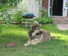 Filename=Picture_078.jpg
Filesize=180KiB
Dimensions=581x480
Date added=%886 %20, %2008 Picture_078.jpg