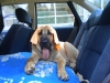 Filename=Picture_080.jpg
Filesize=180KiB
Dimensions=640x480
Date added=%833 %18, %2010 Picture_080.jpg