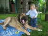 Filename=Picture_275.jpg
Filesize=190KiB
Dimensions=640x480
Date added=%443 %24, %2008 Picture_275.jpg