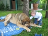 Filename=Picture_276.jpg
Filesize=202KiB
Dimensions=640x480
Date added=%439 %24, %2008 Picture_276.jpg