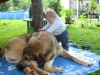 Filename=Picture_289.jpg
Filesize=200KiB
Dimensions=640x480
Date added=%437 %24, %2008 Picture_289.jpg