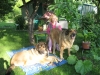 Filename=Picture_312.jpg
Filesize=219KiB
Dimensions=640x480
Date added=%434 %24, %2008 Picture_312.jpg