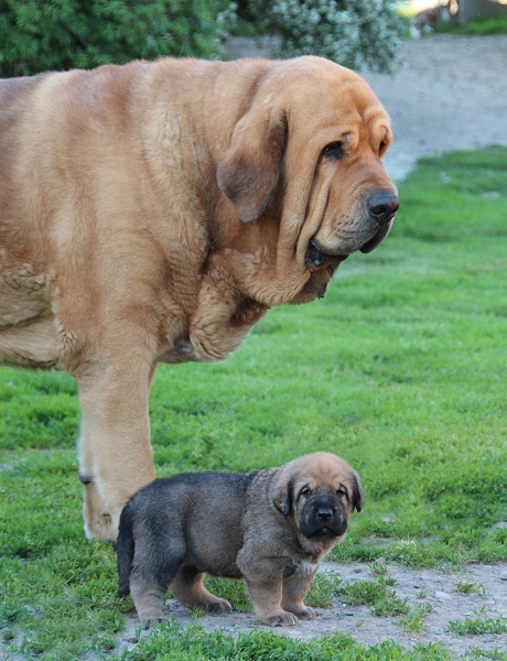 Dali de la Aljabara with his 24 days old son
