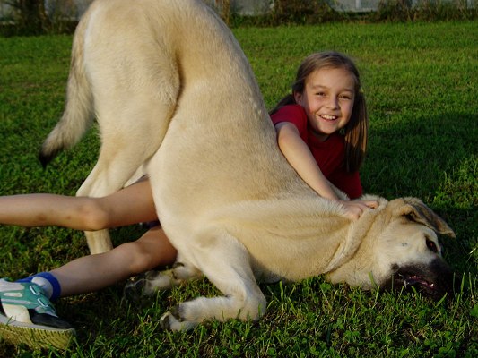 Florita Maja Tornado Erben (7months) with Tereza
(Druso de la Aljabara x Cica Ha-La-Mü)
Born: 30.01.2005
 

Keywords: tornado puppy cachorro