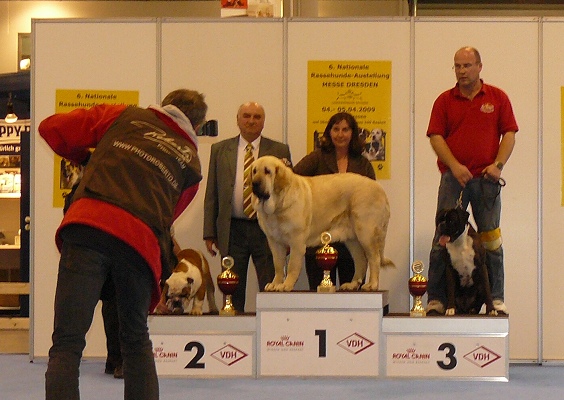 Ch. Lois Tornado Erben - Best in Group - National show in Dresden (5.4.2009)
