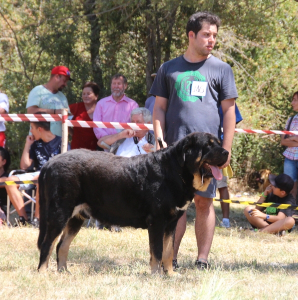 HURGÓN DE TIERRA DE ÓRBIGO - Fresno del Camino 13.08.2017
 
Keywords: 2017 tierraorbigo