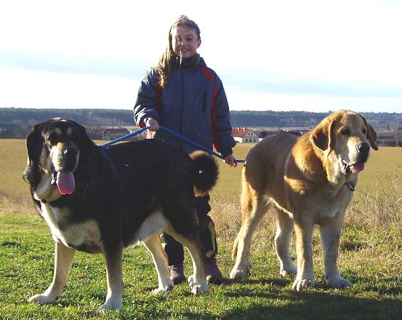 Mother with little son
Ch. Cassandra Tornado Erben and Jorgito Tornado Erben (6,5months)
Keywords: kids tornado