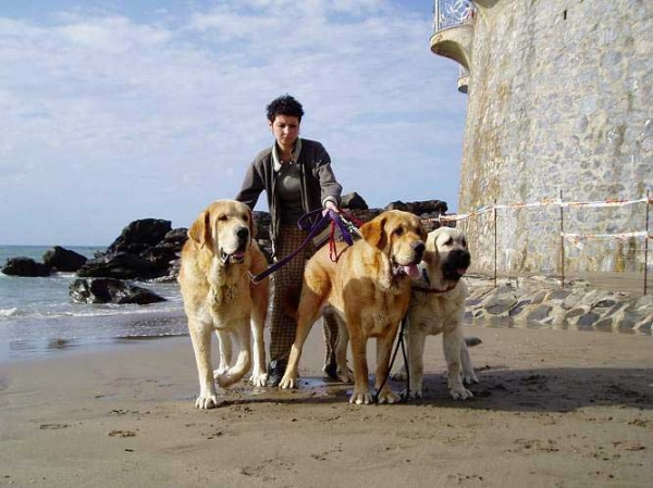 Jorgito, Historia & Lois Tornado Erben - Atlantic Ocean June 2007
Keywords: tornado confundo water