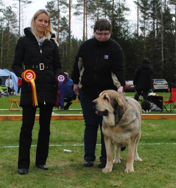 Lady Carla Tornado Erben (8,5 years old) - exc.1, Best Veteran, Best of Breed, BIS VETERAN 3
