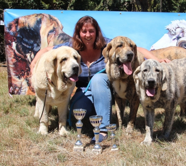 Nike Charley Tornado Erben (exc. 4), Yerba Tigre Tornado Erben (Best young female) and Claudia Tornado Erben (Best puppy) - Fresno del Camino 13.08.2017
Keywords: 2017 tornado