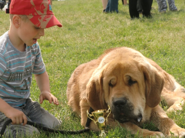 Ydalgo Leon Tornado Erben with his juniorhandler
competience Child and dog
