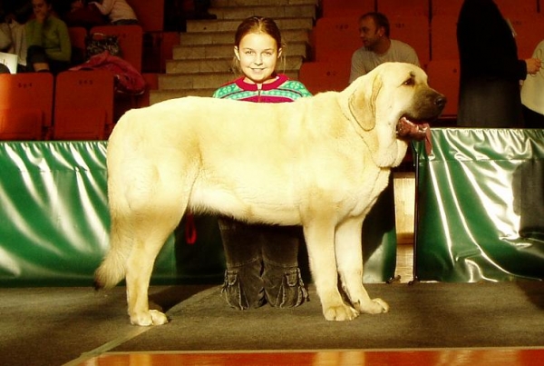 Lois Tornado Erben 11,5 months old
2.12.2007 National show Nowa Ruda (PL) - exc.1, Youn winner, Best junior, also semifinal in Juniorhandling with Tereza
