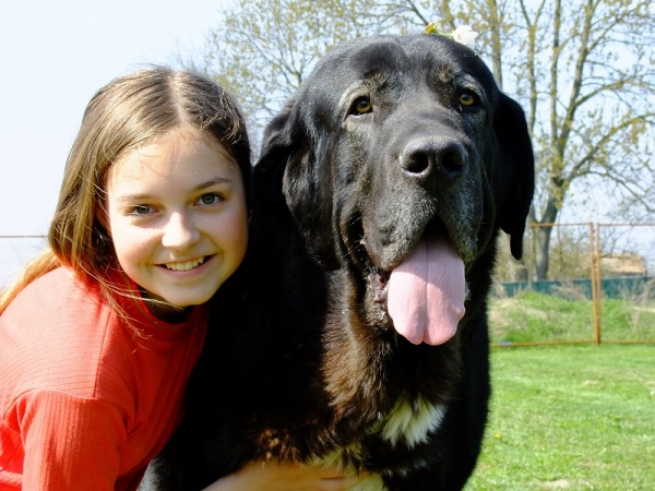 Tereza with her big guard Nalon
Nalon Bears de Lunava 17 months old 
