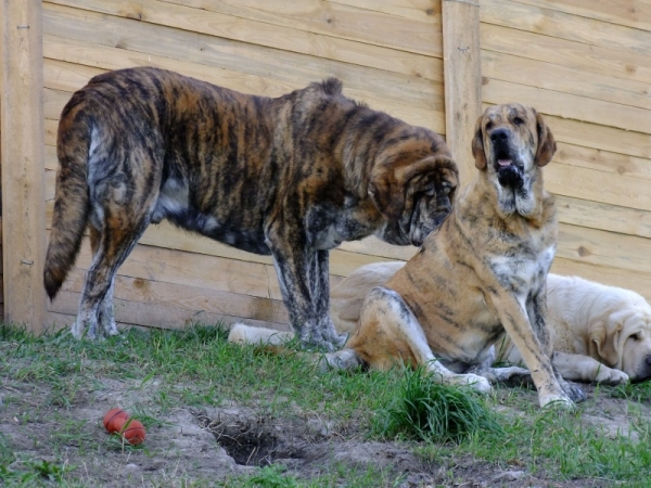 Ich. Quanto Tornado Erben with his daughter Xara Grace
