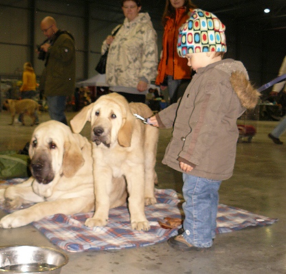 Little Adinka with Umberta Lili and Lois Tornado Erben- International Show, Prague, Czech Republic, 08.11.2009
Little juniorhandler :-) 
Keywords: 2009 kids tornado