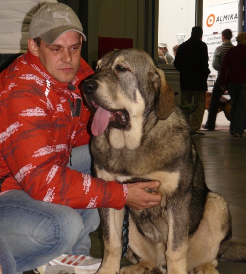 Tonny Tornado Erben - very promising 2, Puppy class males - International Show, Prague, Czech Republic, 08.11.2009
Ramonet x Florita Maja Tornado Erben
Keywords: 2009 tornado