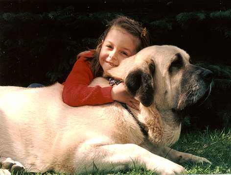 Tecla de Valdejera with her friend Tereza
Tecla is on the photo 14months old. Tecla is World young winner, Slovak champion, Winner of Middle and East Europe, National winner, BIS.  

Anahtar kelimeler: kids tornado