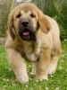 Filename=10t-meggie.jpg
Filesize=36KiB
Dimensions=413x550
Date added=%814 %05, %2007 10t-meggie.jpg