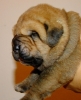 Filename=11d7.jpg
Filesize=86KiB
Dimensions=408x500
Date added=%045 %15, %2011 11d7.jpg