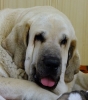 Filename=11days3.jpg
Filesize=69KiB
Dimensions=486x550
Date added=%810 %28, %2011 11days3.jpg
