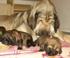 Filename=12d.jpg
Filesize=100KiB
Dimensions=655x550
Date added=%866 %25, %2010 12d.jpg