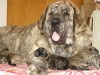 Filename=1den4.jpg
Filesize=303KiB
Dimensions=733x550
Date added=%656 %19, %2009 1den4.jpg