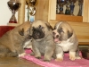 Filename=23d.jpg
Filesize=196KiB
Dimensions=729x550
Date added=%577 %22, %2008 23d.jpg
