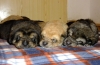 Filename=23d5.jpg
Filesize=83KiB
Dimensions=685x450
Date added=%034 %23, %2012 23d5.jpg